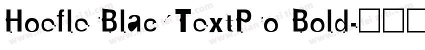HoeflerBlackTextPro Bold字体转换